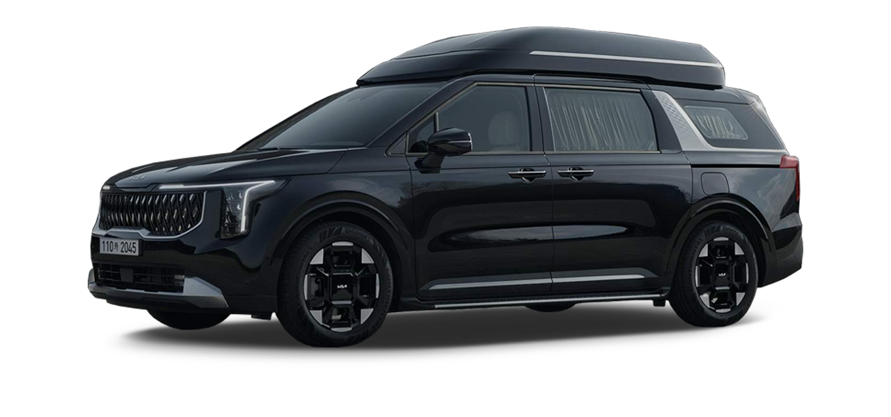 25 카니발 하이리무진 9인승 (휘) T